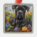 Suche nach korsett ornamente Rohrstock