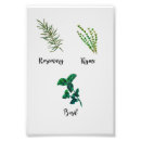 Recherche de basilic posters Jardin d'herbes