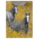 Recherche de champ des fleurs porte blocs Chevaux