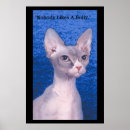 Suche nach bully poster Bullen