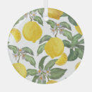 Suche nach zitronen ornamente Aquarell