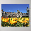 Suche nach dunedin poster Blume
