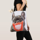 Recherche de bouledogue photographie Frenchie