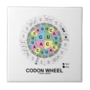 Recherche de codon Arn