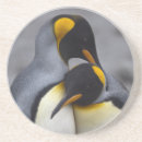 Suche nach könig untersetzer Pinguin