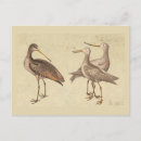 Recherche de rivages cartes postales Vintage