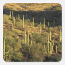 Suche nach sonoran aufkleber Arizona