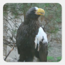 Recherche de oiseaux de mer autocollants Aigle