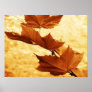 Suche nach ahornblatt poster Braun