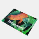 Recherche de salamandre Nom