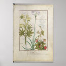 Suche nach robinet poster C12th