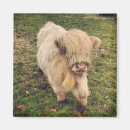 Suche nach kalb magnete Tier