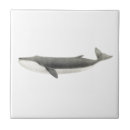 Recherche de vie aquatique carreaux Poisson