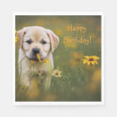 Recherche de labrador serviettes Chiot