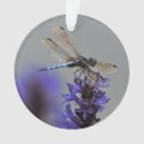 Suche nach libellen ornamente Natur