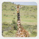 Suche nach masai aufkleber Vertikal
