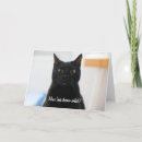 Suche nach überraschte katze Niedlich