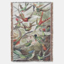 Suche nach kolibri decken Ernst haeckel