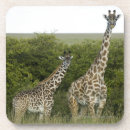 Suche nach kenia untersetzer Afrika