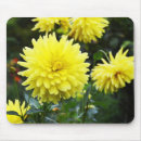 Suche nach dahlien mousepads Gelb