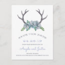 Recherche de echeveria cartes postales Cactus