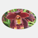 Suche nach rote orchidee aufkleber Natur
