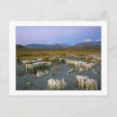 Recherche de mono cartes postales Formation