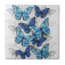 Recherche de papillon blanc carreaux Bleu