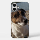 Recherche de terrier de jack russell iphone coques Dog