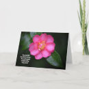 Suche nach kamelien karten Rosa