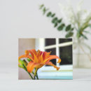 Suche nach lilium postkarten Lilie