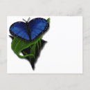 Recherche de papillons bleus cartes postales Pour tous