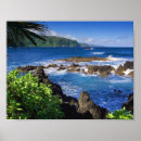 Recherche de belle plage posters Palmiers