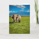 Suche nach kilimanjaro karten Kenya africa