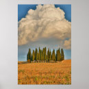 Suche nach zypressenbaum poster Landwirtschaft