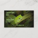 Recherche de grenouilles cartes visite Crapaud
