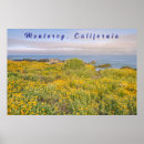 Suche nach monterey poster Strand