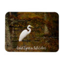 Recherche de furet magnets Faune