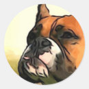 Recherche de boxer autocollants Boxeur