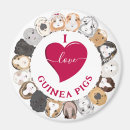 Suche nach meerschweinchen magnete Cavies