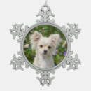 Recherche de chien de chiwawa ornements Mignon