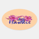 Recherche de hawai autocollants Hibiscus