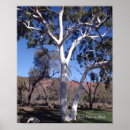 Suche nach gum poster Foto