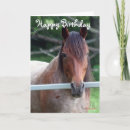 Suche nach stute karten Für sie