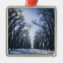 Suche nach salt lake city ornamente Utah