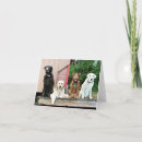 Suche nach schwarzer labrador karten Freunde