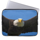 Suche nach das adler laptop schutzhüllen Weißkopfseeadler