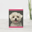 Suche nach lee karten Hund