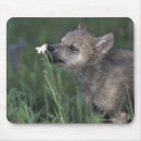 Suche nach tierköpfe mousepads Tierwelt
