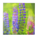 Suche nach lupine fliesen Lila